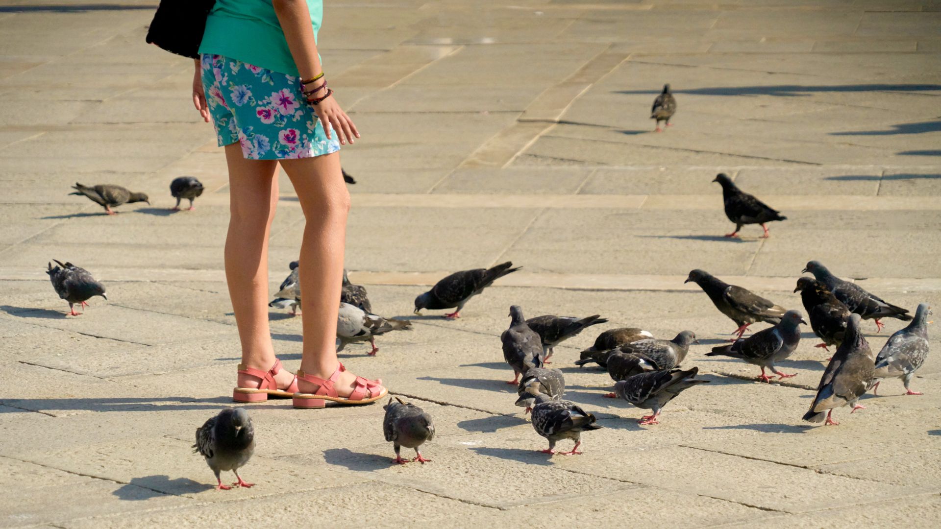 Pesquisas Revelam que Pássaros Urbanos Preferem Homens a Mulheres