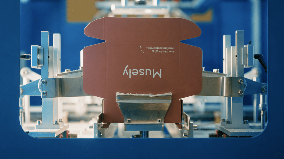 Musely garante $360M da General Catalyst sem abrir mão de ações