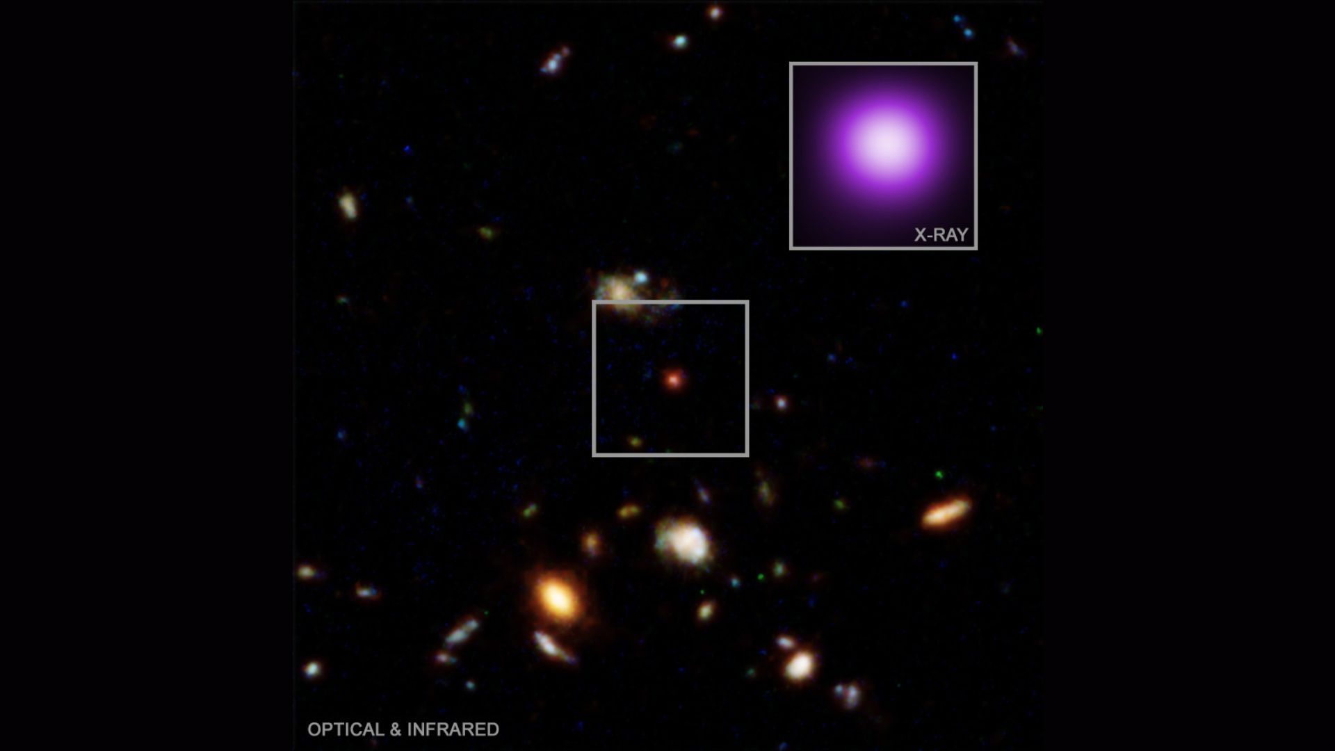 The Cosmic Puzzle: James Webb Telescope's Insight into Black Holes and the 'Little Red Dots'