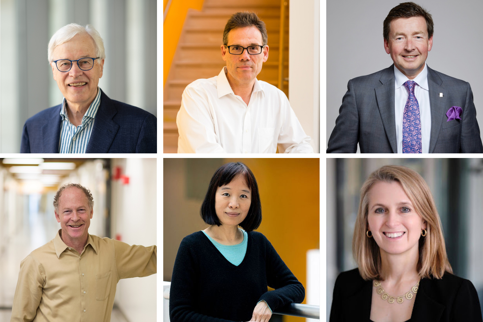 MIT Affiliates Elected to National Academy of Sciences for 2026