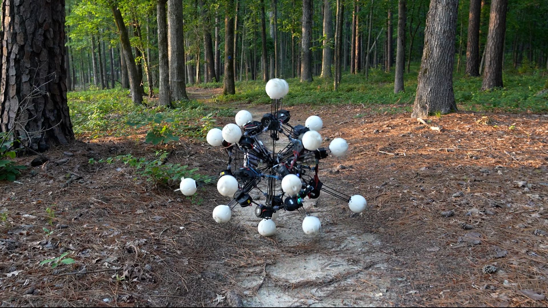 Argus: O Robô de 20 Pernas que Pode Revolucionar o Futuro da Robótica