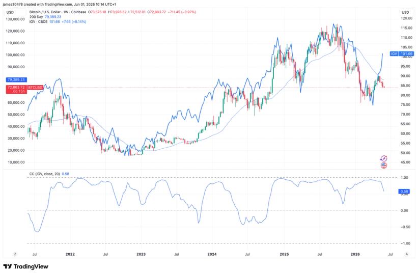 A Separação Histórica: Bitcoin e as Ações de Software em Rumos Divergentes