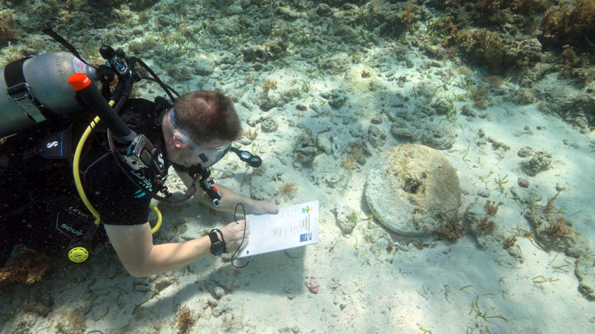 Descoberta de Naufrágios Associados a Piratas do Caribe nas Bahamas
