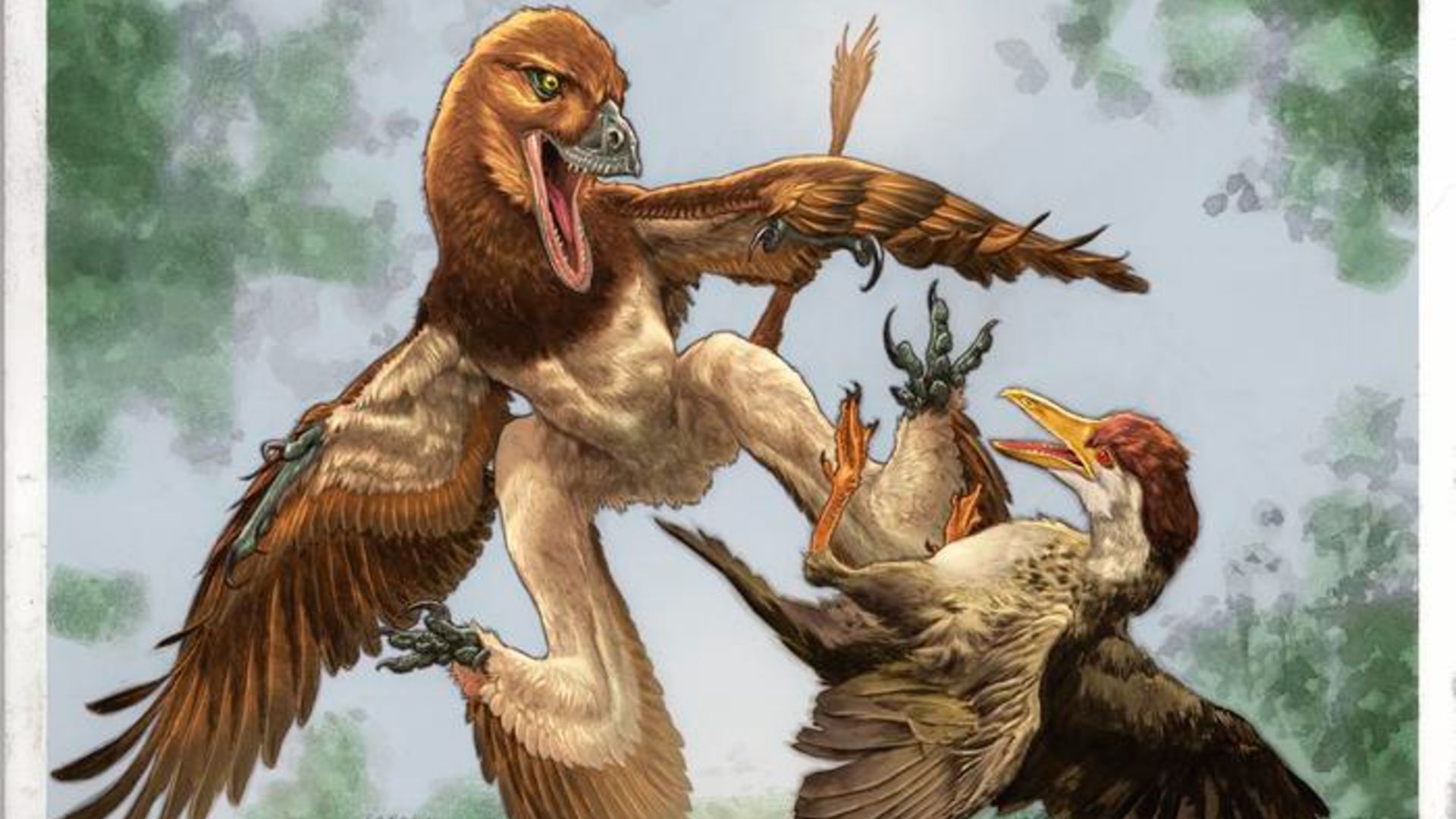 Descobrindo Jian changmaensis: Um Novo Rapáx do Cretáceo Chinês