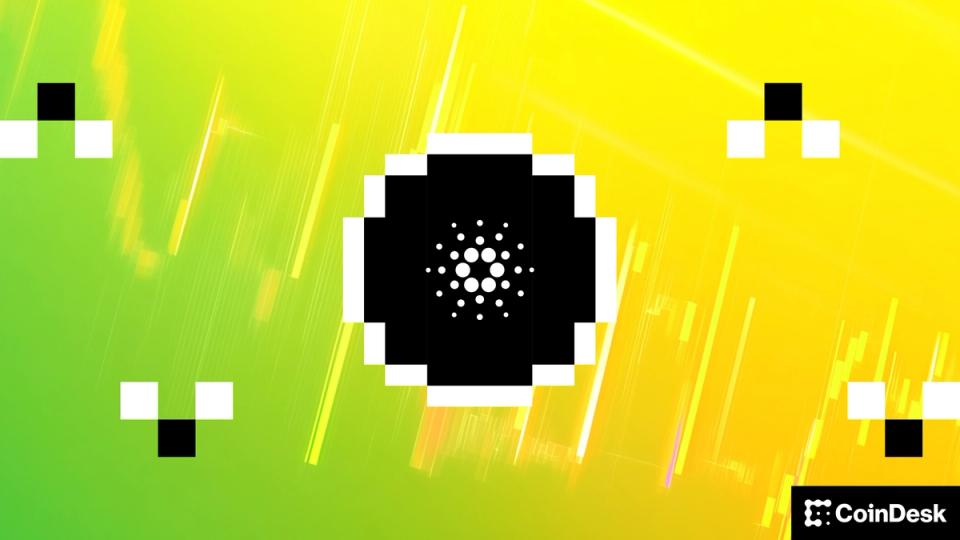 Atividade Social da Cardano Aumenta Mesmo Com Queda do ADA Abaixo de 20 Centavos