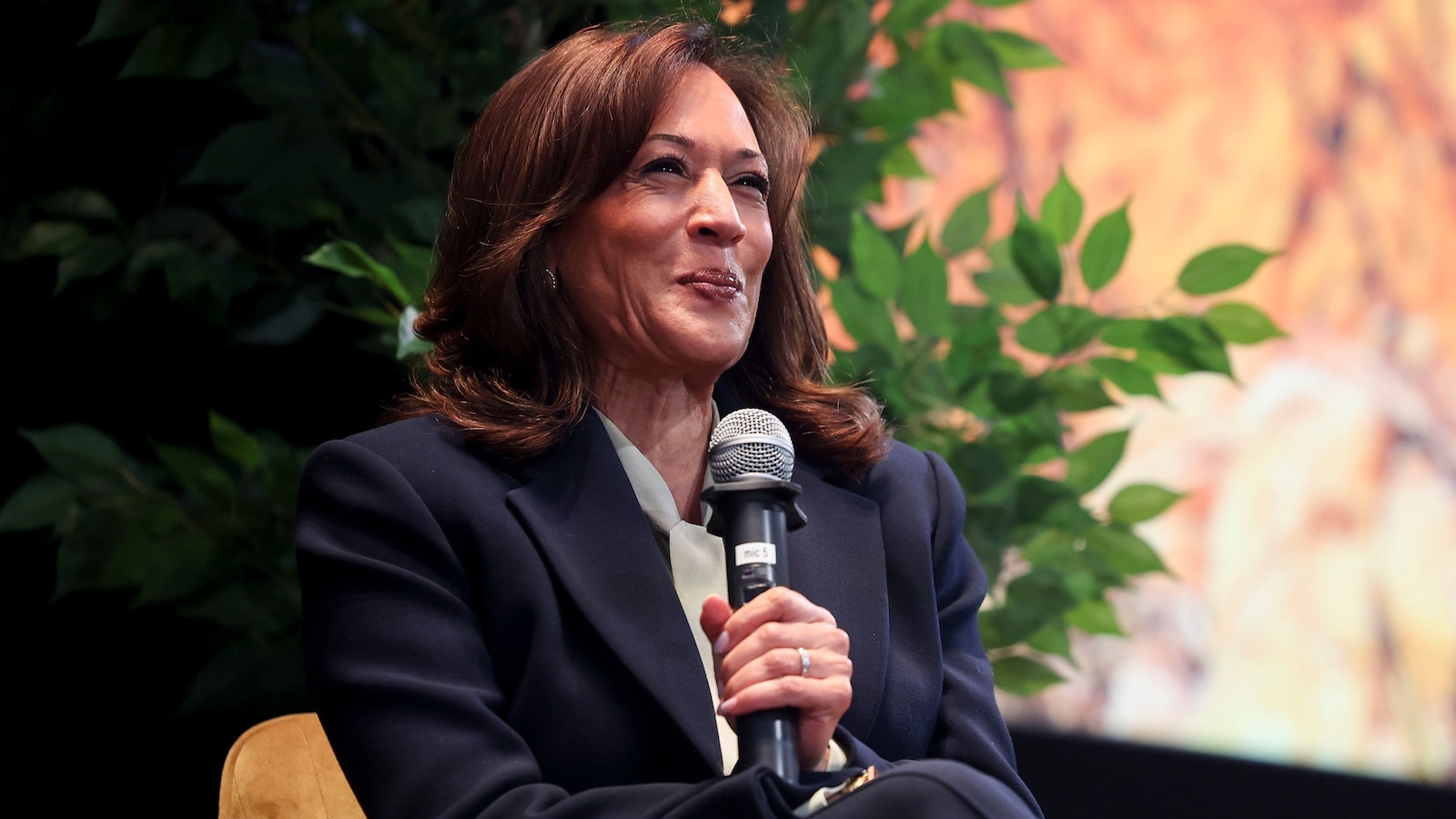 Kamala Harris e o Possível Retorno em 2028: Uma Análise Realista