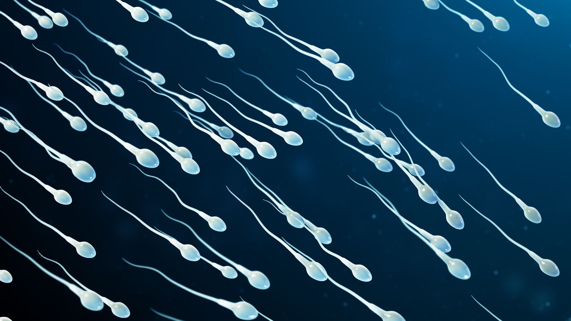 Diagnóstico Dilema: A Infertilidade de uma Mulher Pode Ter Sido Causada por Uma Rara Alergia ao Semen
