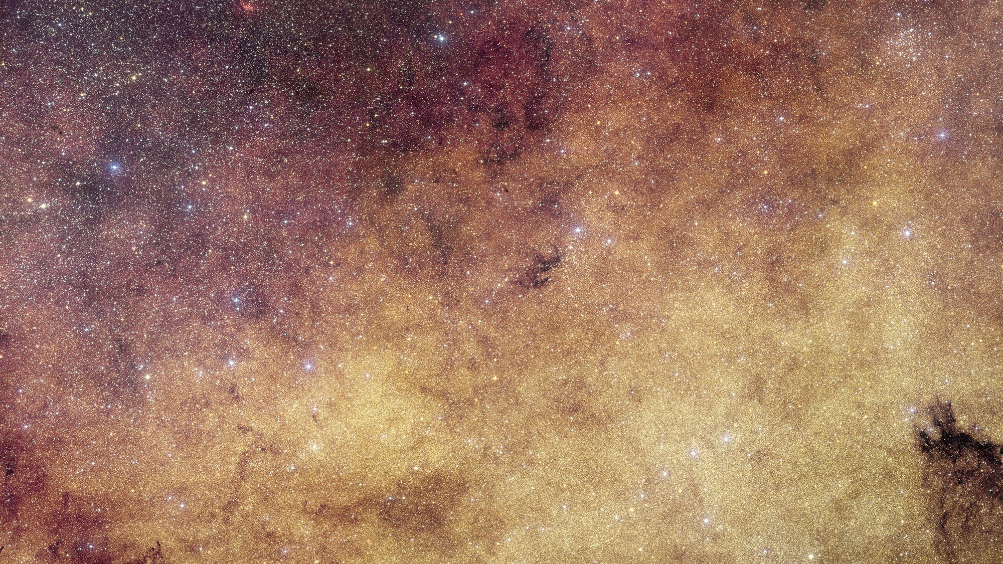 60 Million Stars: Euclid Space Telescope Captures Unprecedented View of the Milky Way's Heart