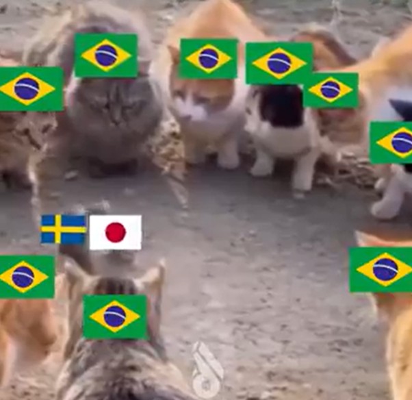 Japão x Suécia: Memes e Reações do Empate que Traz o Japão como Adversário do Brasil