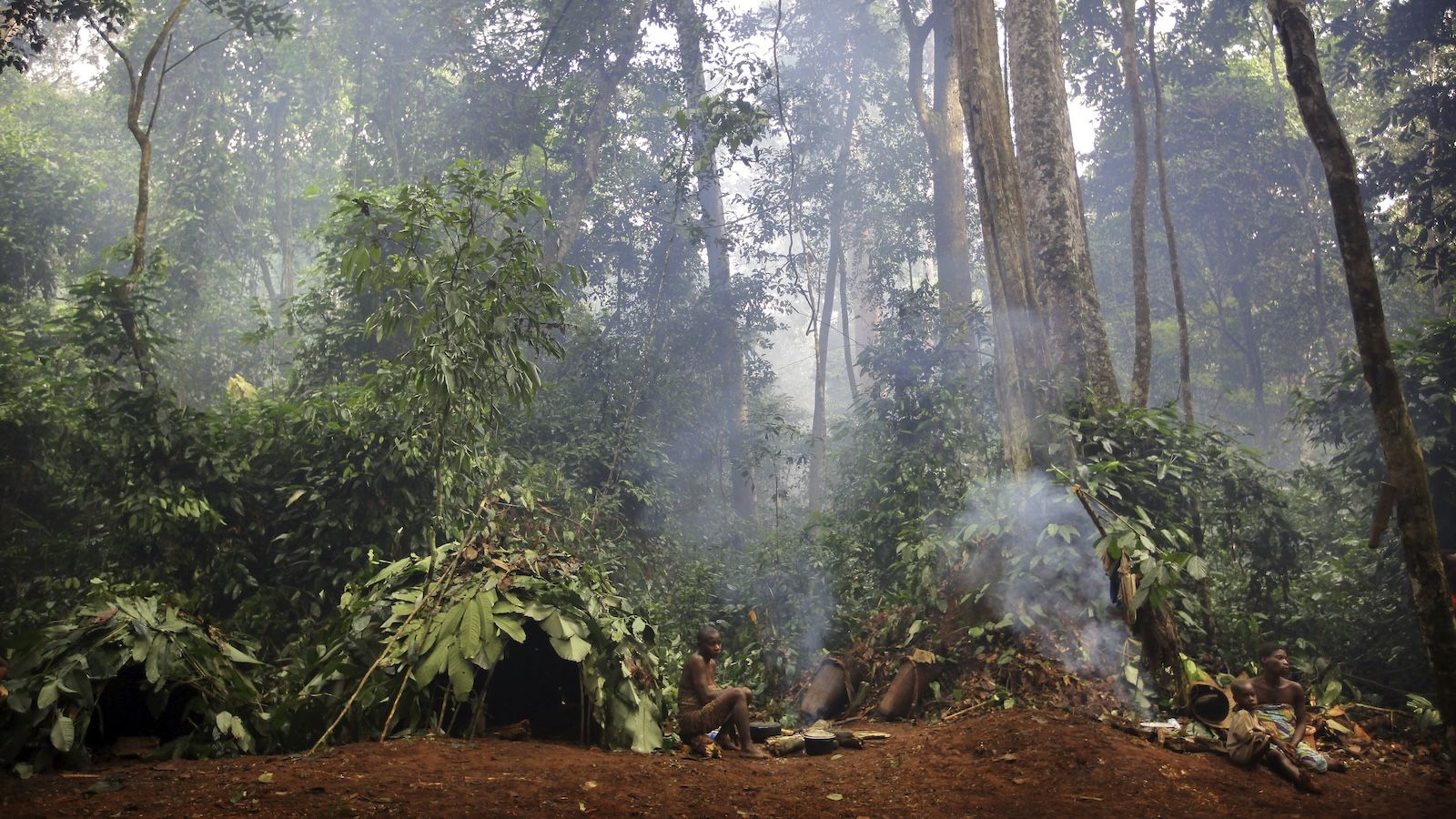 A Nova Perspectiva sobre os Primórdios da Evolução Humana nas Florestas Tropicais