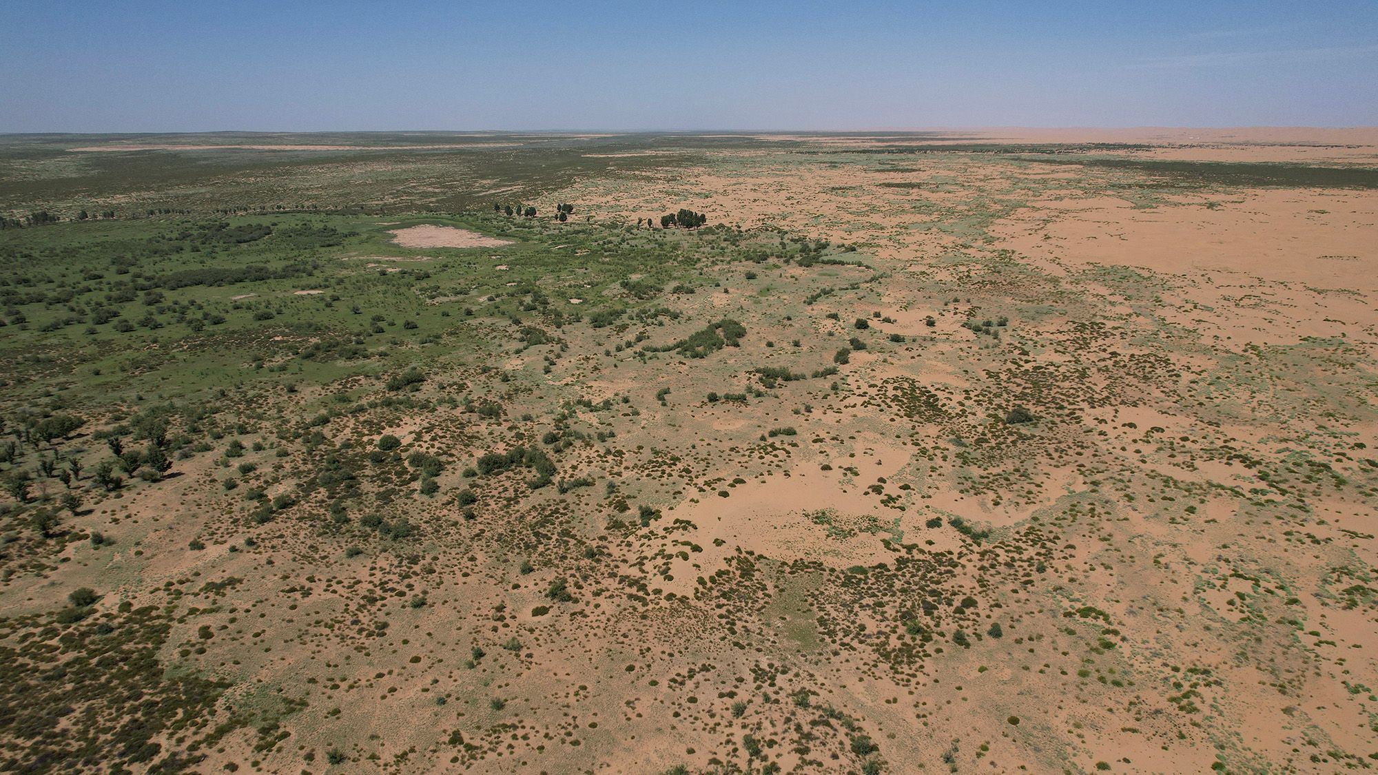 A Evolução da Grande Muralha Verde da China: 66 Bilhões de Árvores em Crescimento Acelerado
