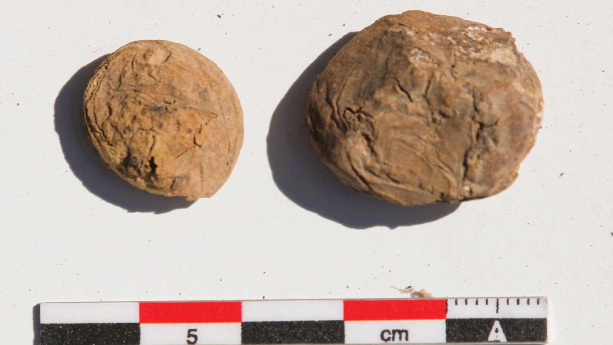 Revelações Arqueológicas: Batatas Congeladas de 500 Anos Encontradas em Armazém Inca no Peru