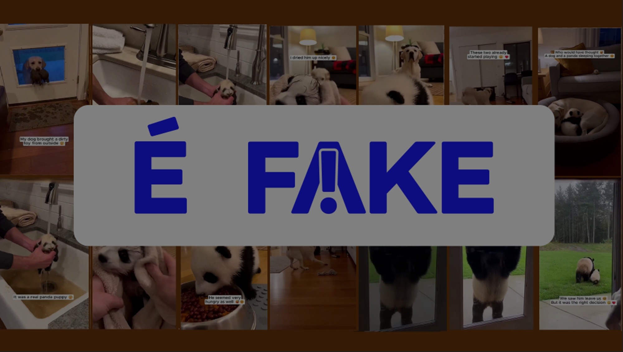 Desvendando o Viral: O Vídeo Fake do Cachorro e o Panda