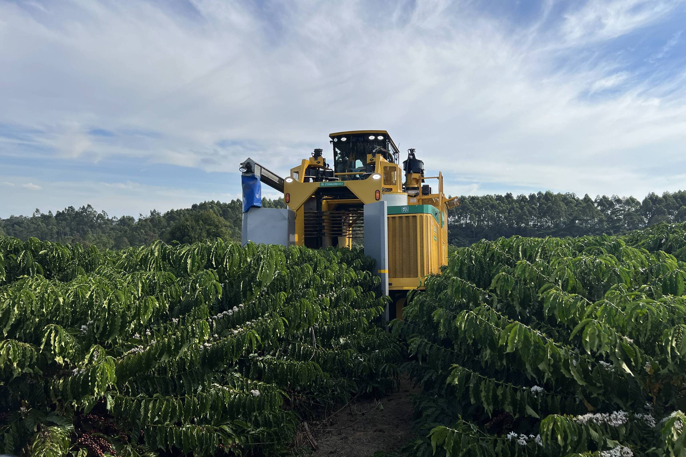 Fazenda Adota IA e Drones para Otimização Hídrica na Lavoura de Café