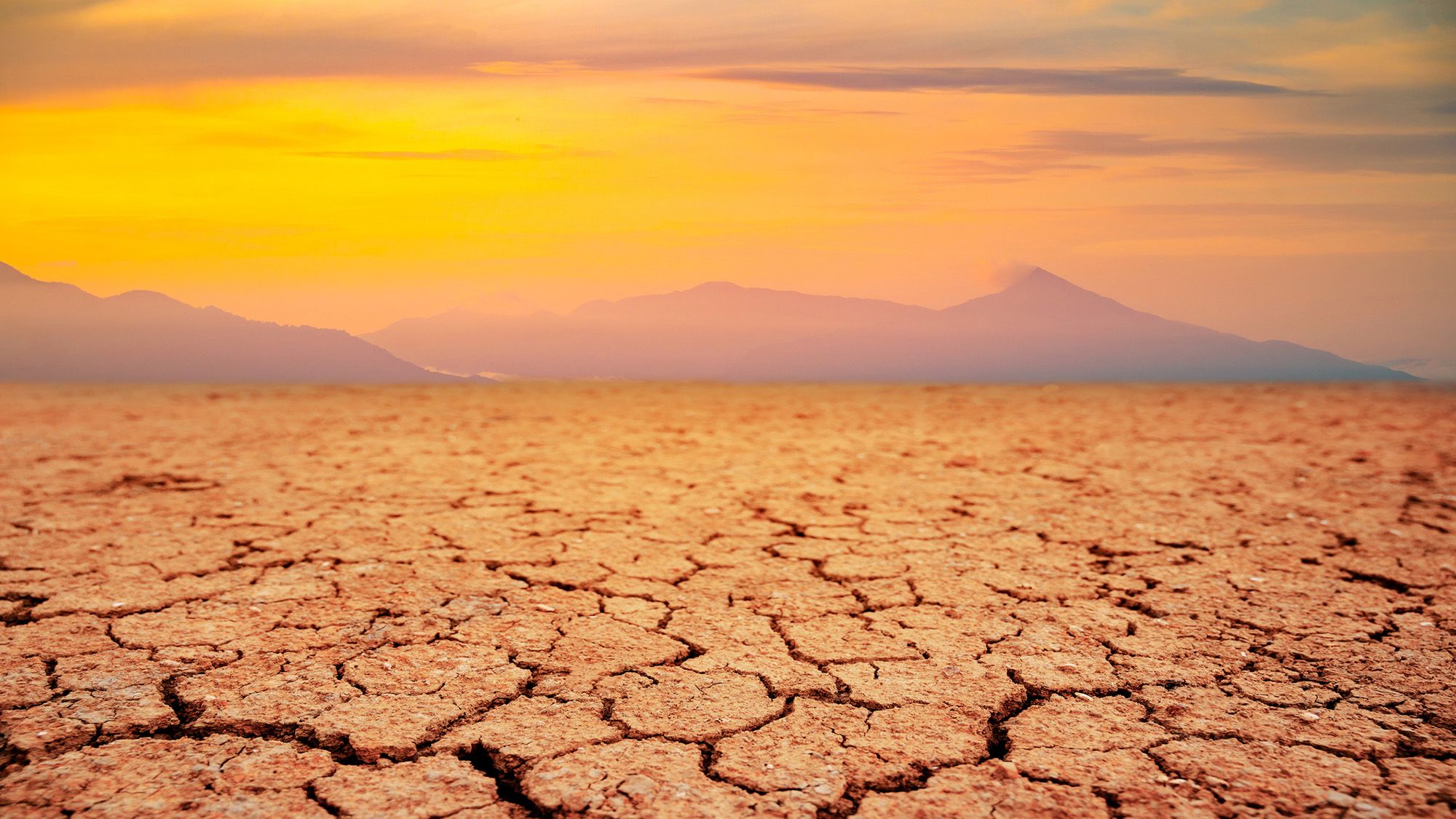 Vida na Terra Pode Persistir por Mais 1,8 Bilhões de Anos, Afirmam Cientistas