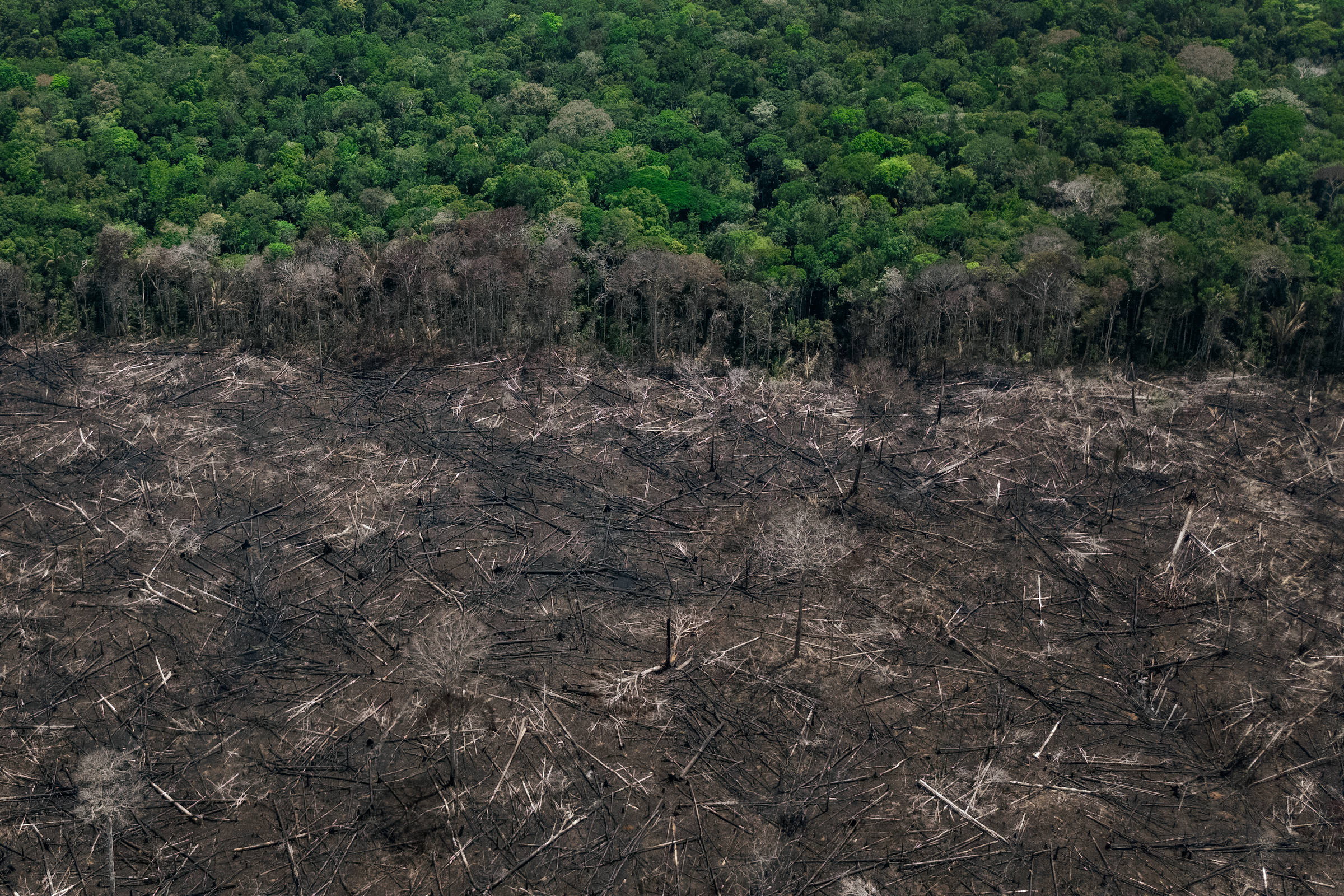 A Soberania Nacional se Decide na Amazônia