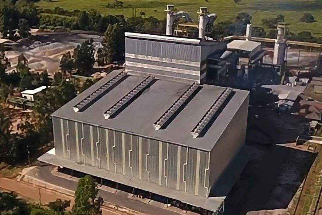 Grupo Rima Planeja Expansão para Países Alternativos à China