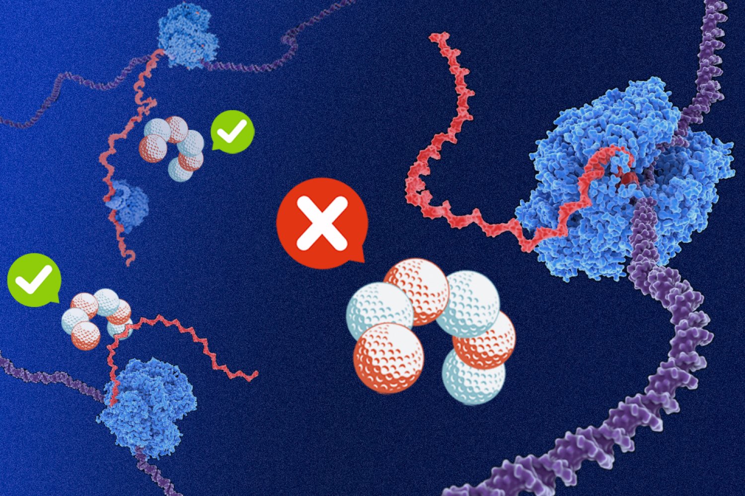 O Código das Purinas: Como Algumas Genes Bacterianos Se Protegem da Interferência