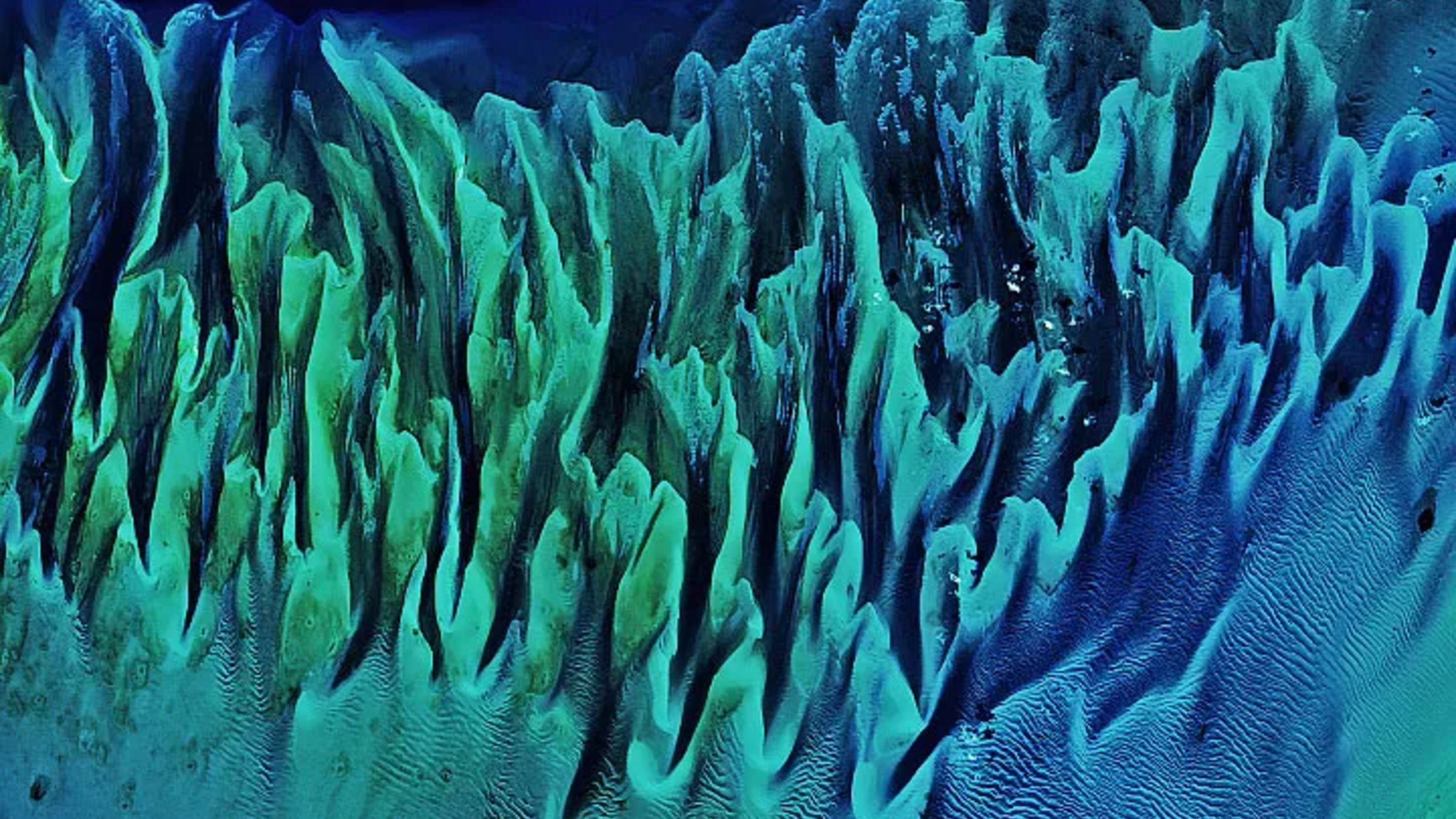 A Magia do Fundo do Mar: O Grande Banco de Bahamas em Detalhes