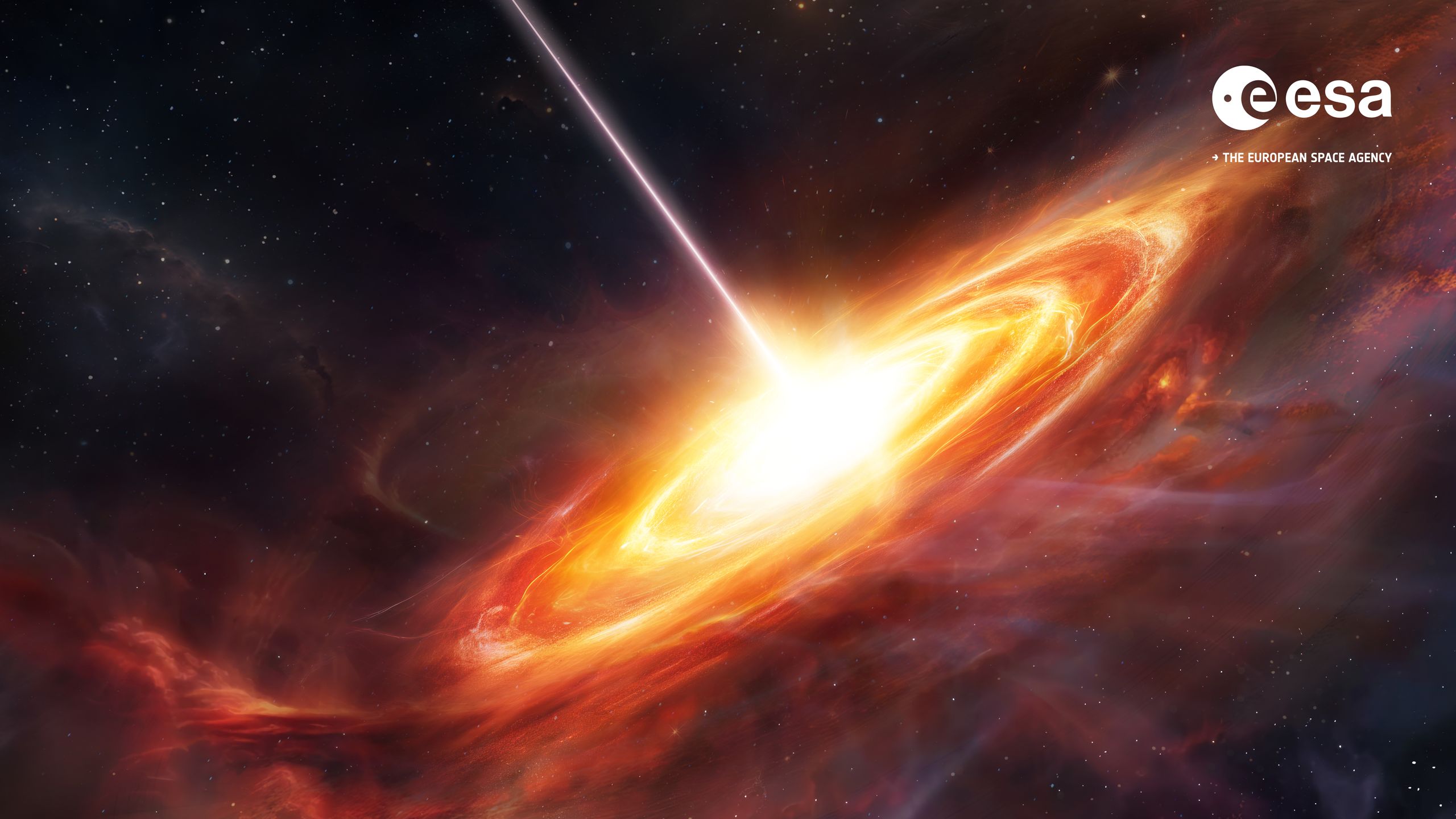 Euclid Telescope Revelations: The Discovery of Ancient Monster Black Holes