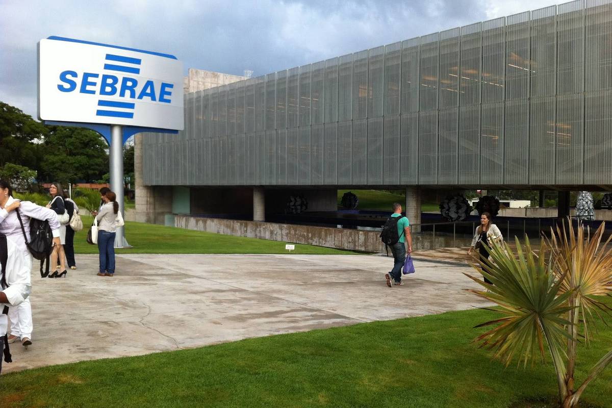 Empoderamento Feminino nas Micro e Pequenas Empresas: Um Novo Panorama para 2026