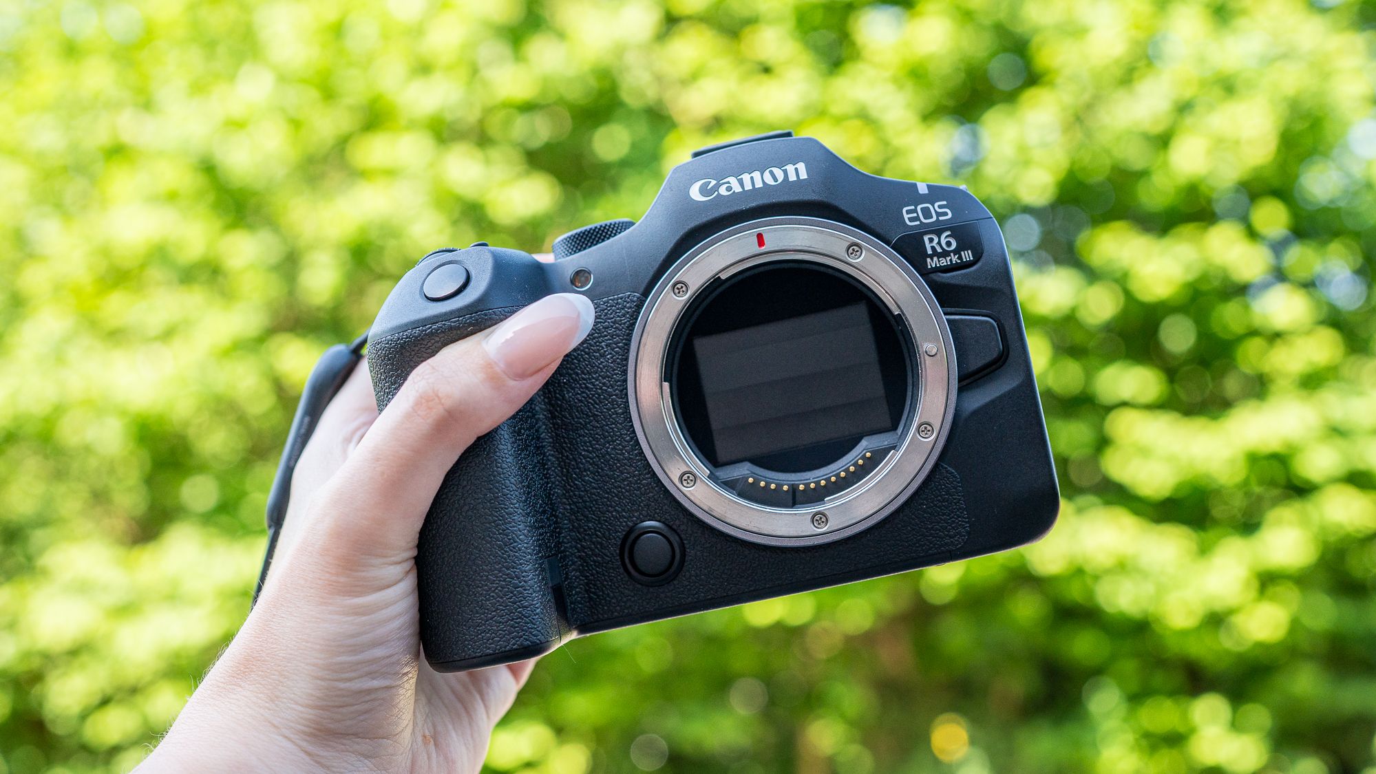 Canon EOS R6 III: Um Maravilha para Fotografia de Vida Selvagem