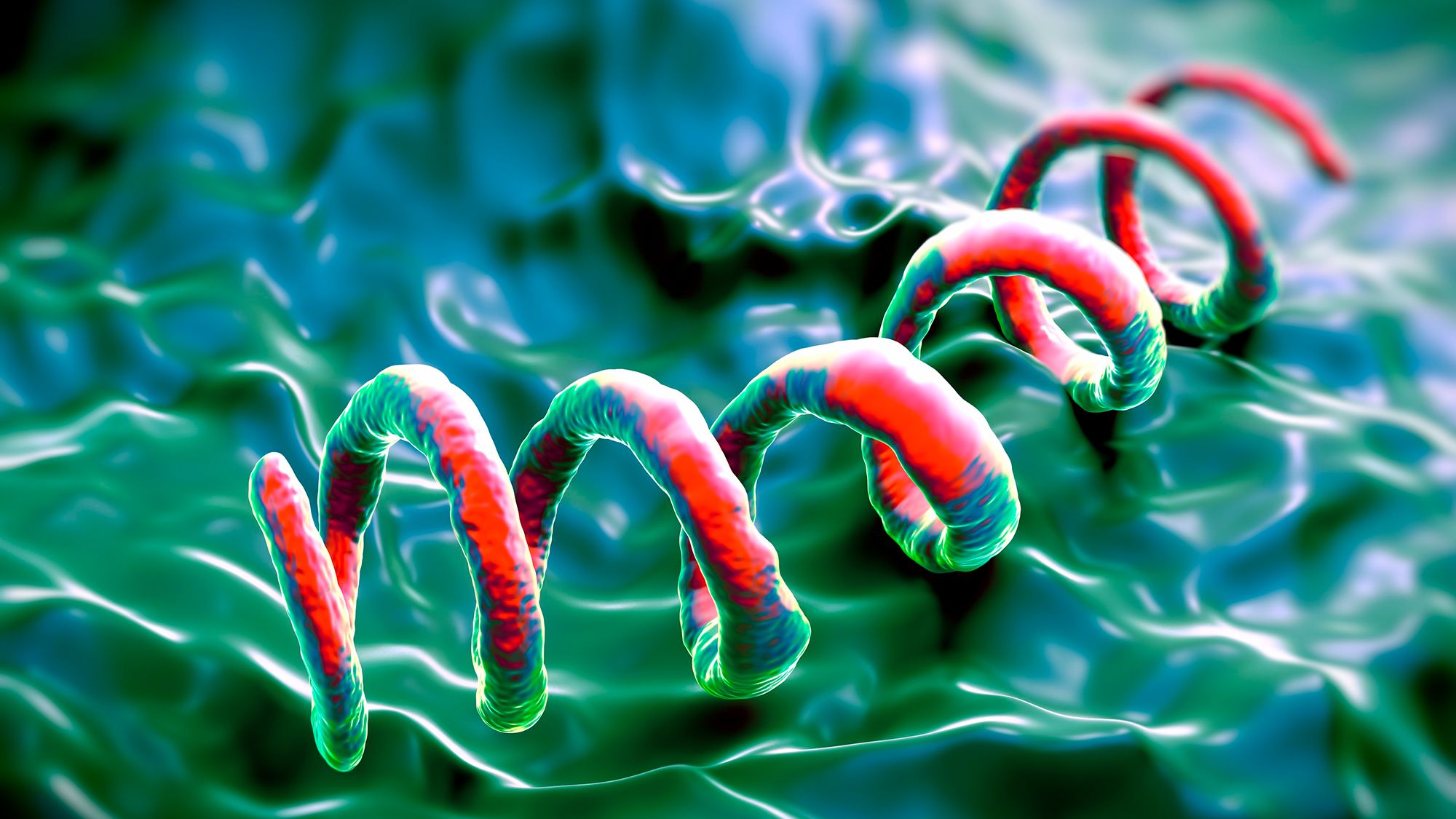 Diagnostic Dilemma: The Surprising Case of an 83-Year-Old Man with Rare Syphilis
