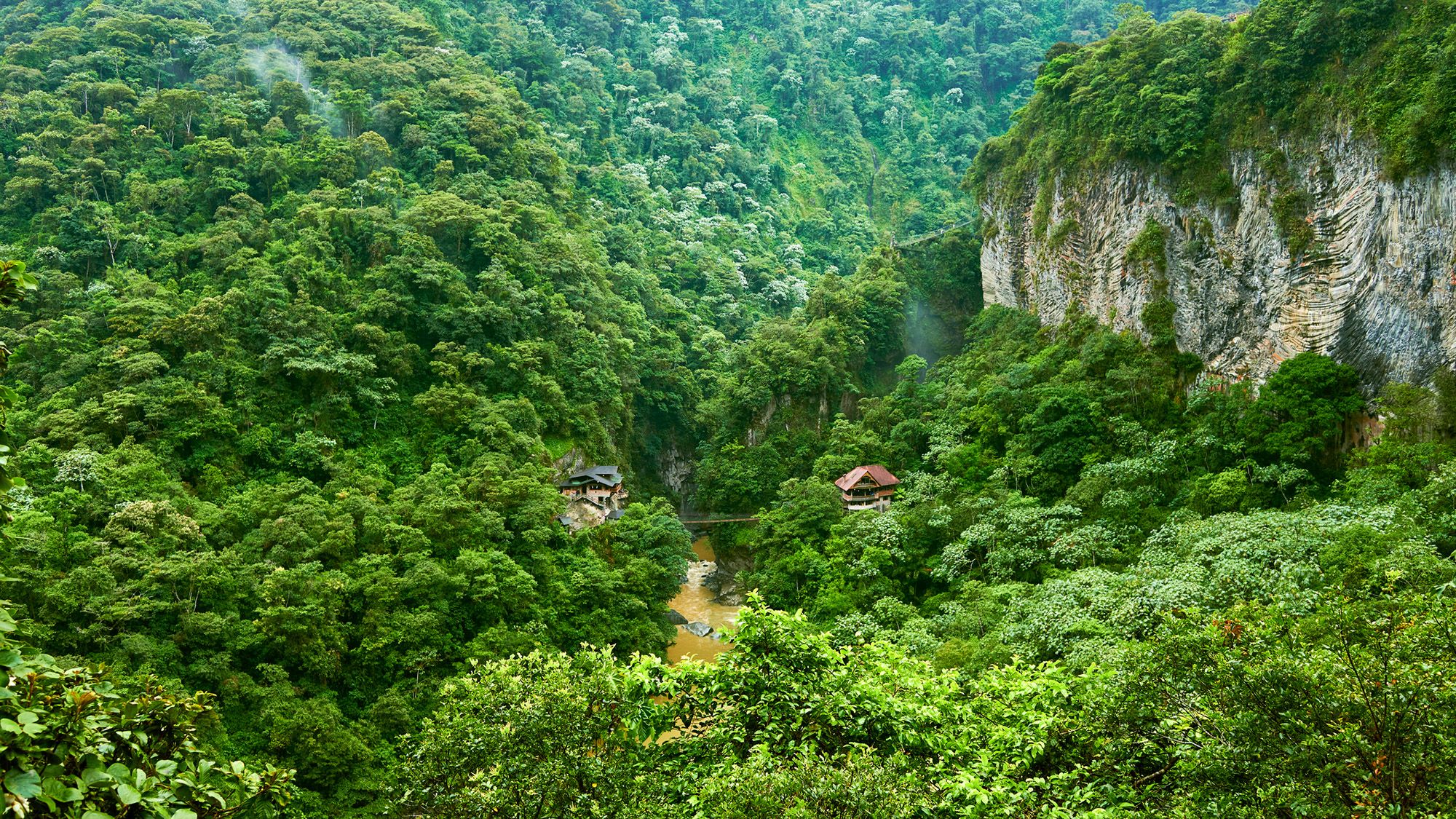 Tropical Forests Face Catastrophic Change Amidst Escalating El Niño Events