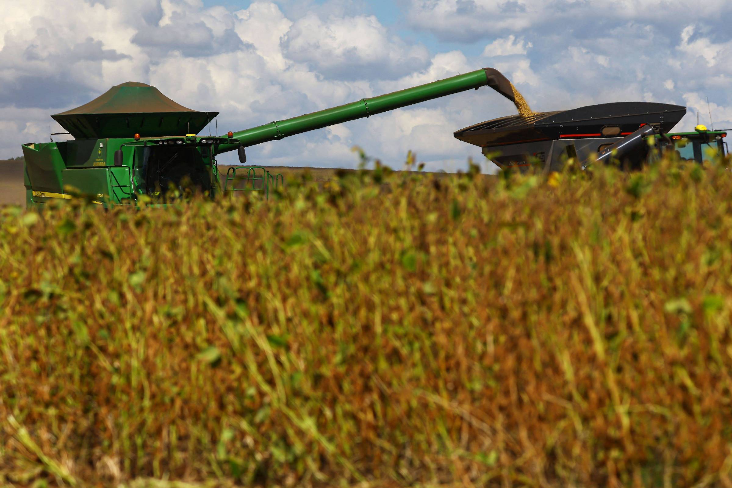 Inadimplência da População Rural do Brasil Atinge 8,8% no 1º Trimestre de 2026