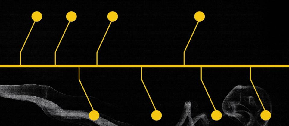 Uma Linha do Tempo das Mudanças na Ethereum Foundation