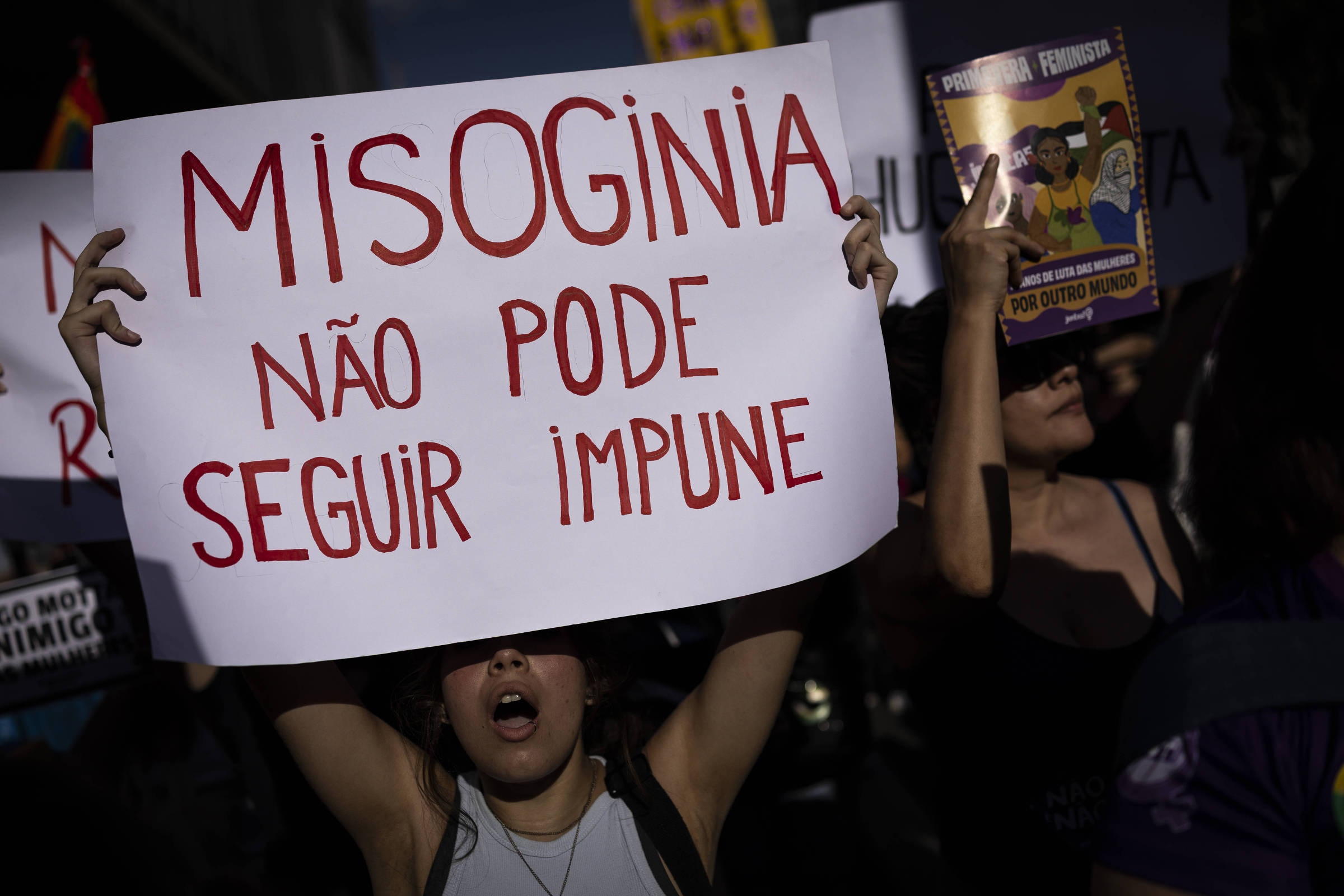Prioridades do Governo: PLs da Misoginia e de IA Ficam para Depois do Recesso
