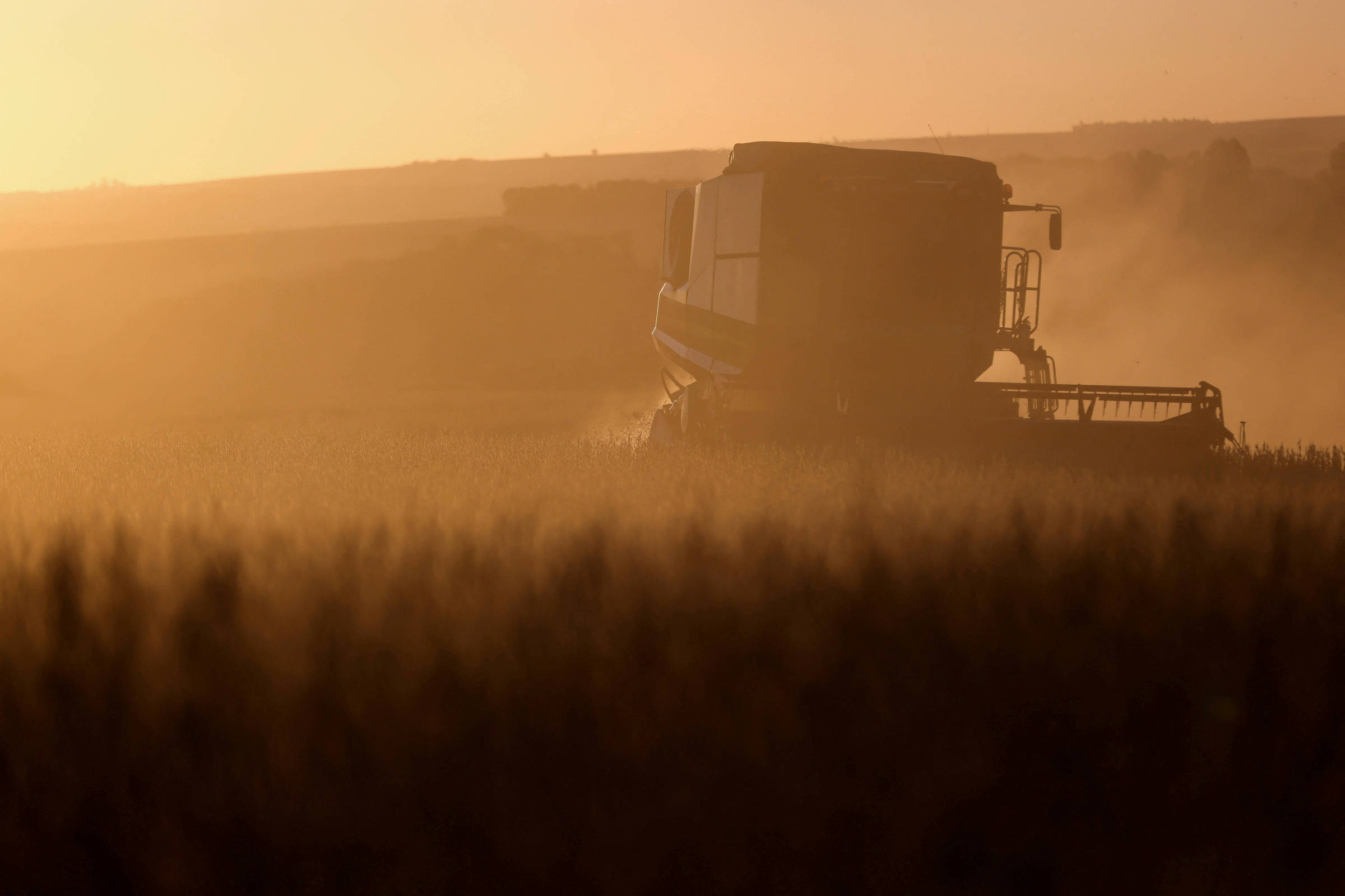 Produção Recorde, mas Queda de Preço Reduz Receita no Agro