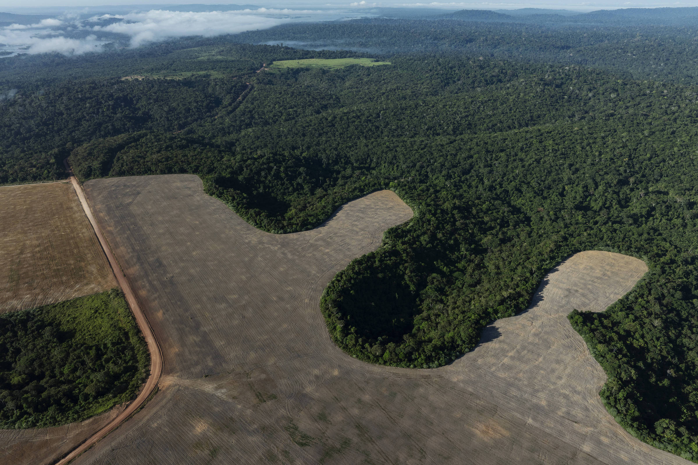 Fim da Moratória da Soja: Uma Ameaça ao Futuro da Amazônia