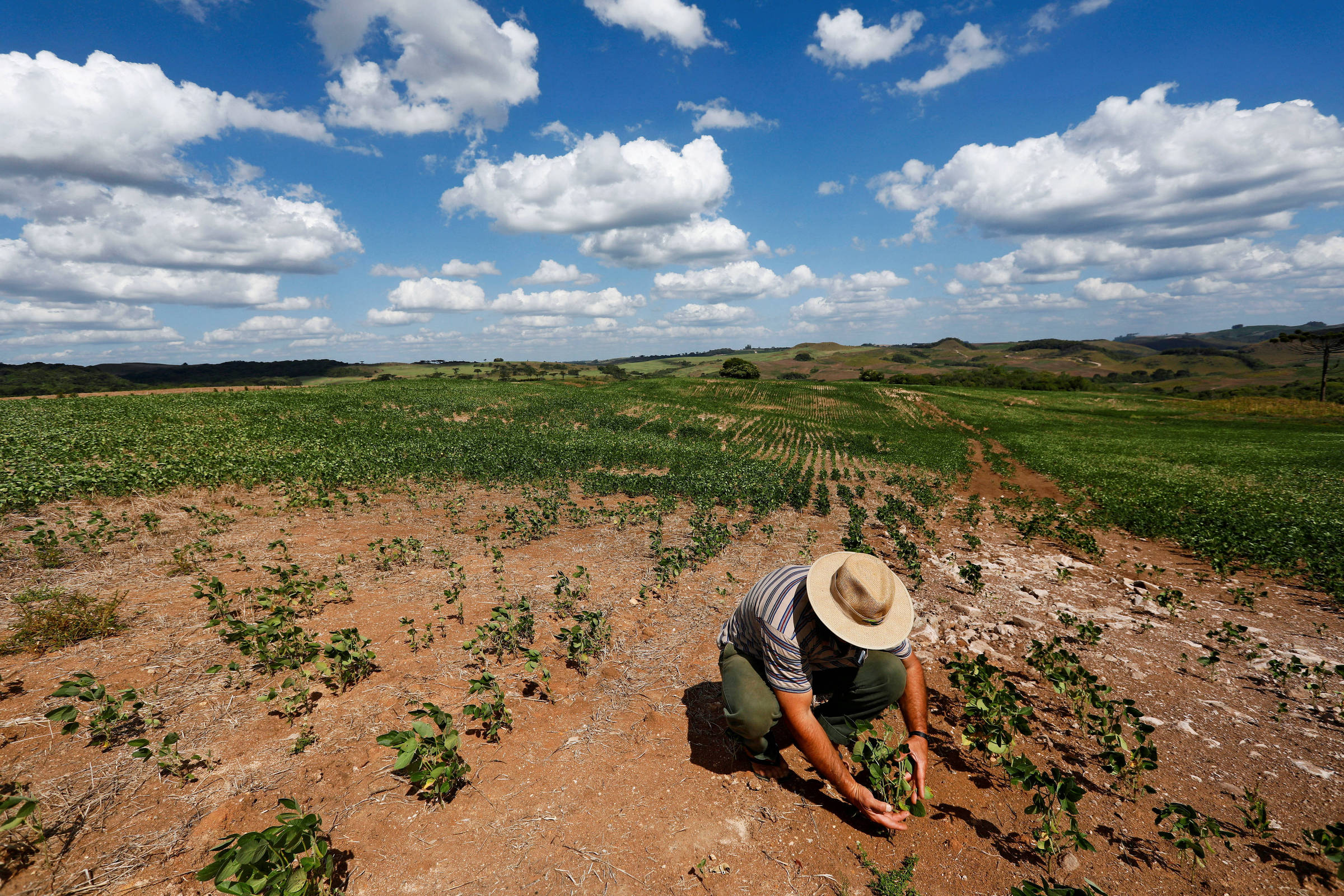 Mudanças Climáticas e a Renda do Agro: Uma Análise Crítica