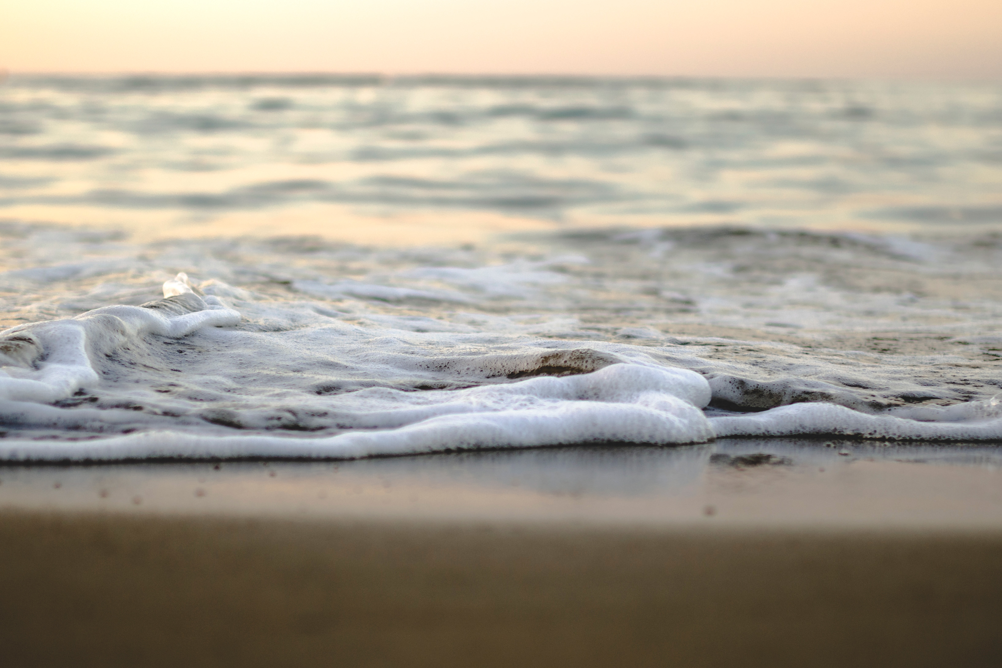 Como a Influxo de Sal Pode Impactar Ecossistemas Microbianos