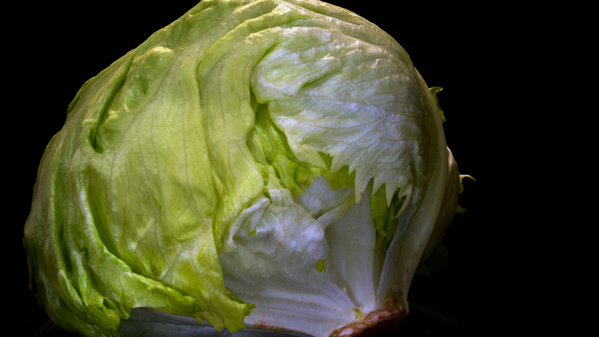 Taco Bell Lettuce Contamination: A Deep Dive into Cyclospora Infections Across Five States