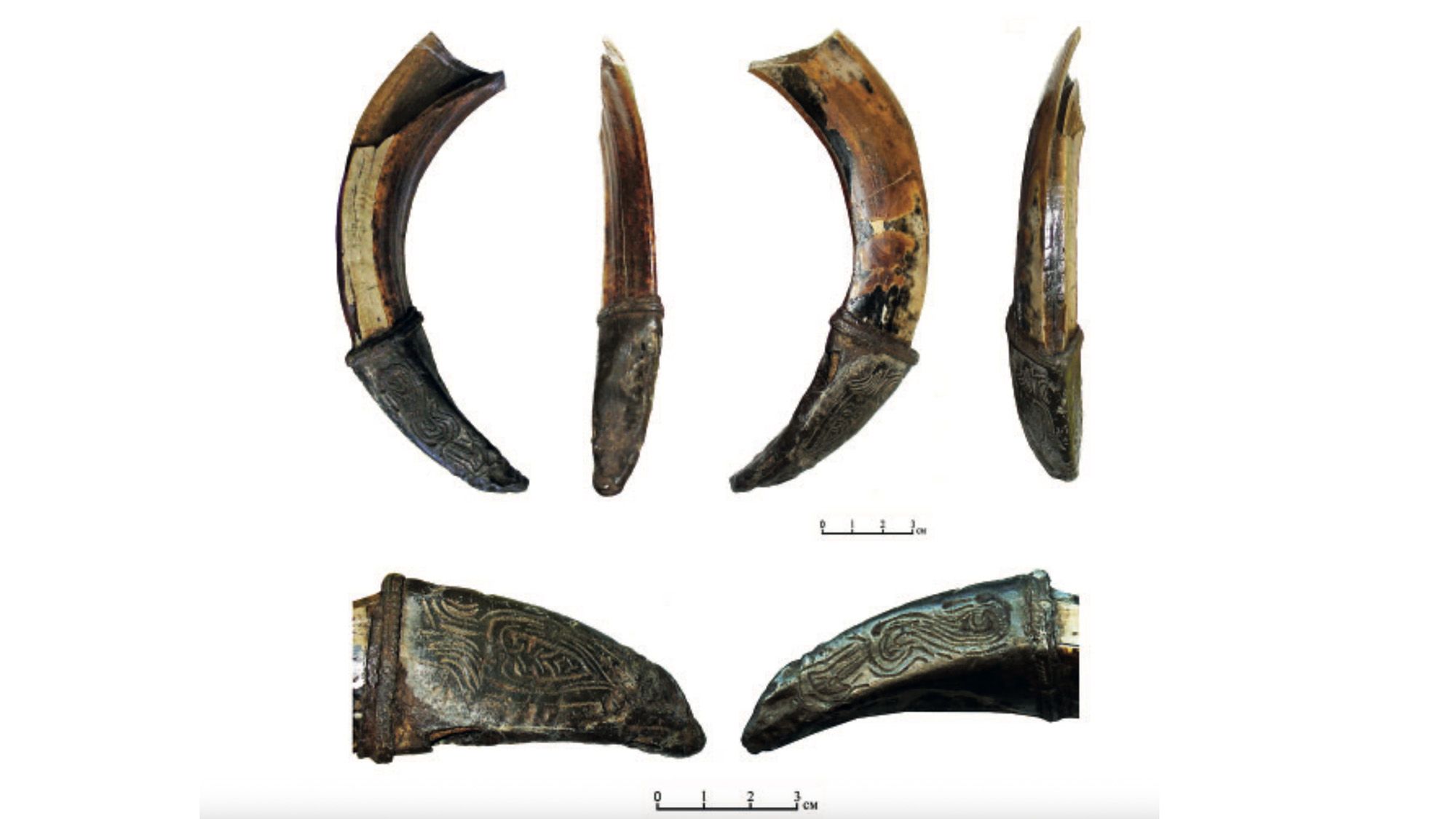 O Tusk de Javali Decorado Encontrado na Rússia Pode Ser Amuleto de Boa Sorte de um Guerreiro Medieval