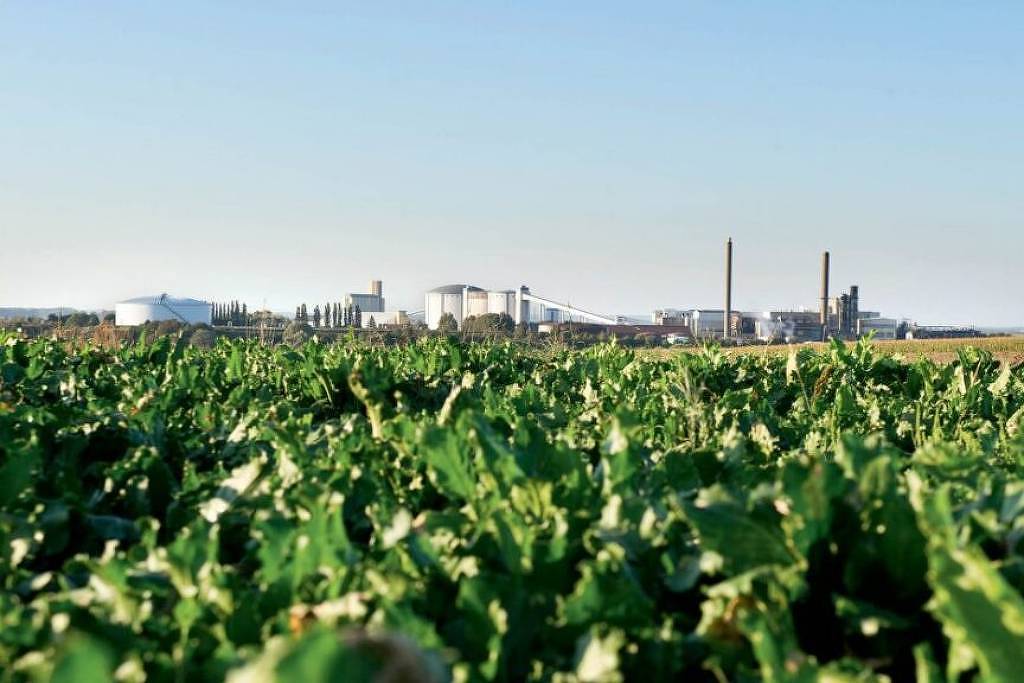 Grupo Itajobi Solicita Cautelar para Reestruturar Dívida de R$ 3,7 Bilhões