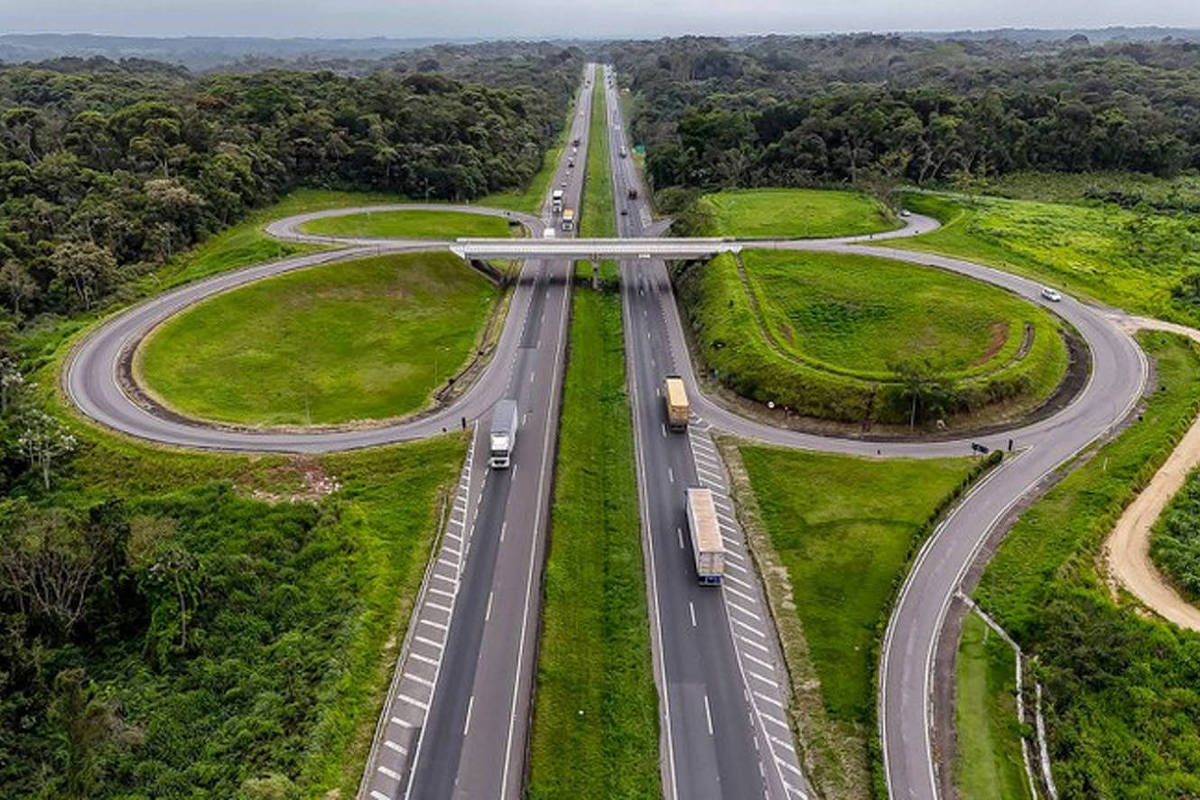 O Futuro da Régis Bittencourt: Um Leilão de Oportunidades