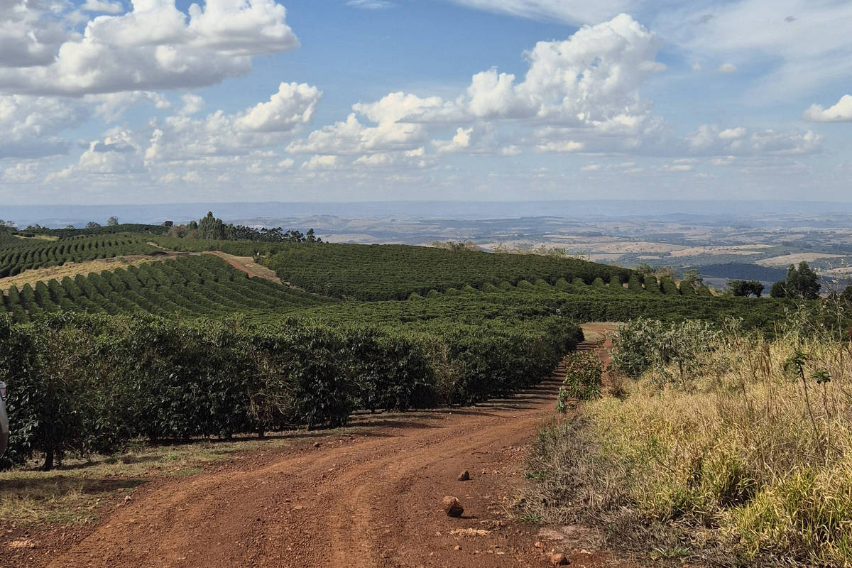 Na intensa seca da Europa, a agricultura regenerativa sobressai