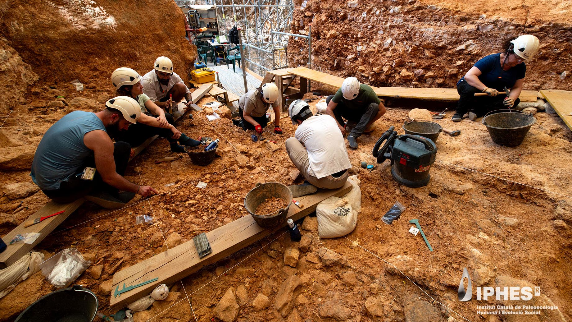 Canibalismo em Gran Dolina: Revelações sobre Homo antecessor