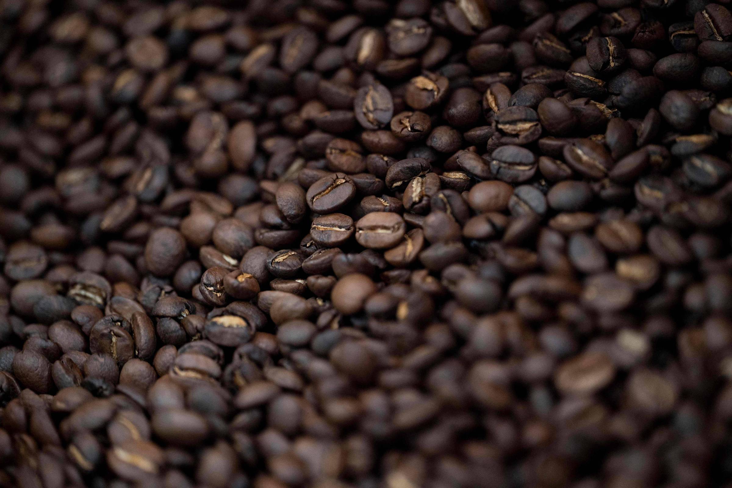 Desafios e Perspectivas do Café Brasileiro: A Influência da Chuva e do El Niño
